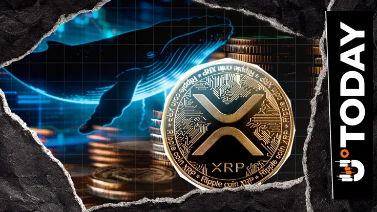 Shiba Inu Whales Remove 229 Billion in 24 Hours: Are They Shoveling at the Bottom?