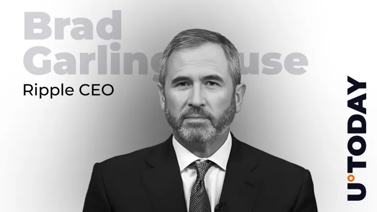 Ripple CEO Celebrates 11 Years at Company