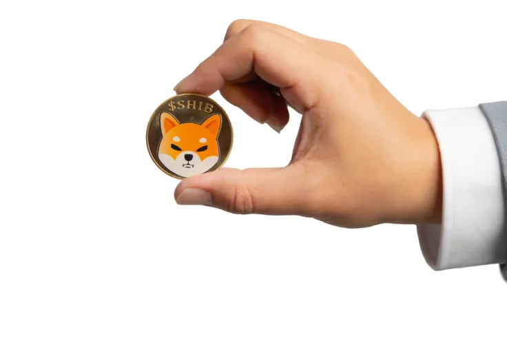 160 Billion in Shiba Inu (SHIB) Added to Exchanges: First Resistance Is Coming