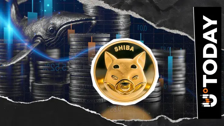 SHIB Exchange Flow Falls 97%: What's Driving Bears?
