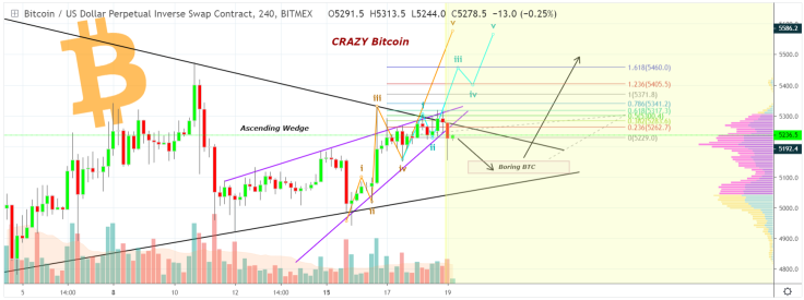 Bitcoin can take a new height thanks to 5th Elliot wave