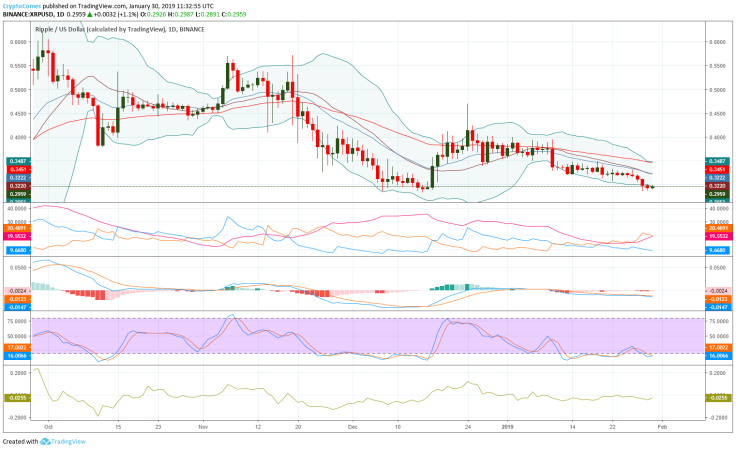 Ripple Price Prediction for February 2019 – Can It Move Above $0.5?