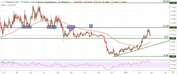 BNB/USD chart by tradingview