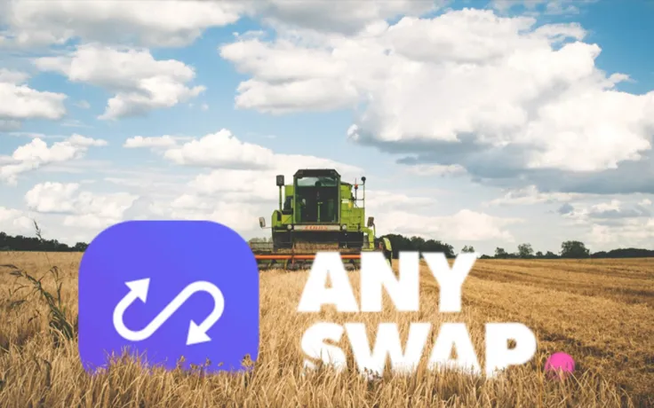 Anyswap