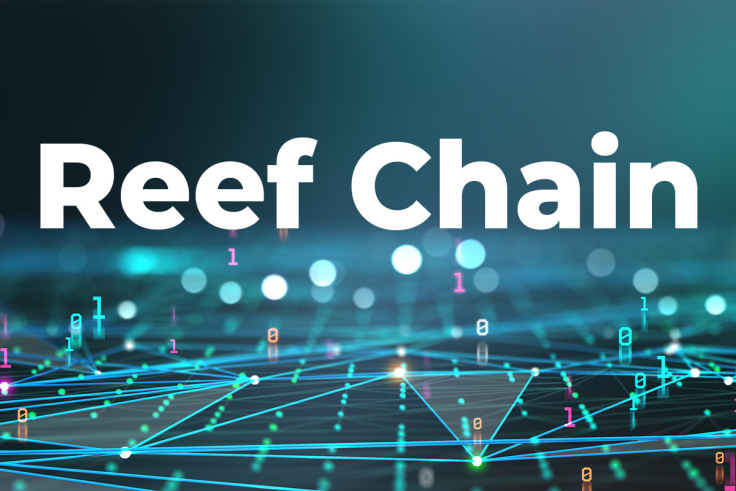 Reef Chain launches in May