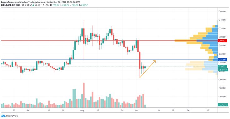 BCH/USD chart by TradingView