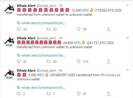 Whale Alert BTC