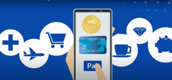 OduwaPay released useful instruments for merchants
