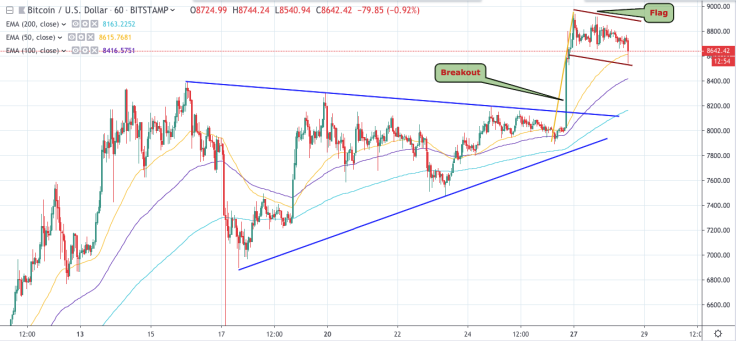 Bitcoin prediction tradingview