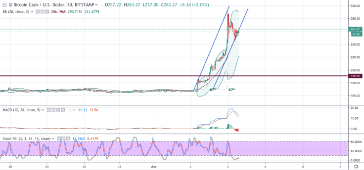 BCH/USD chart by tradingview