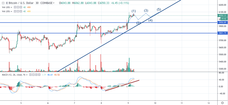BTC/USD chart by tradingview