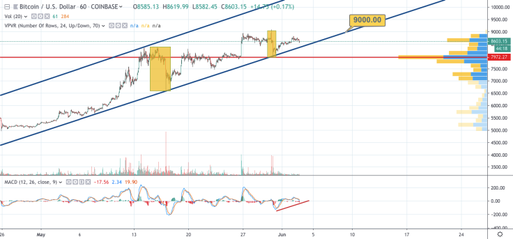 BTC / USD 1-часовой график