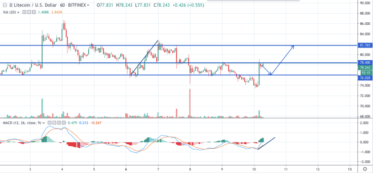 LTC/USD hourly chart