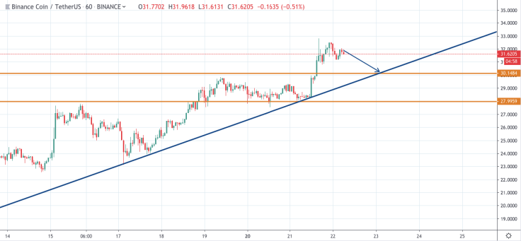 BNB/USD 1-hour chart
