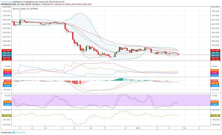 Bitcoin daily chart
