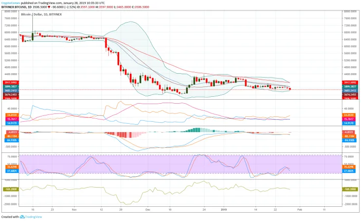 Bitcoin daily chart