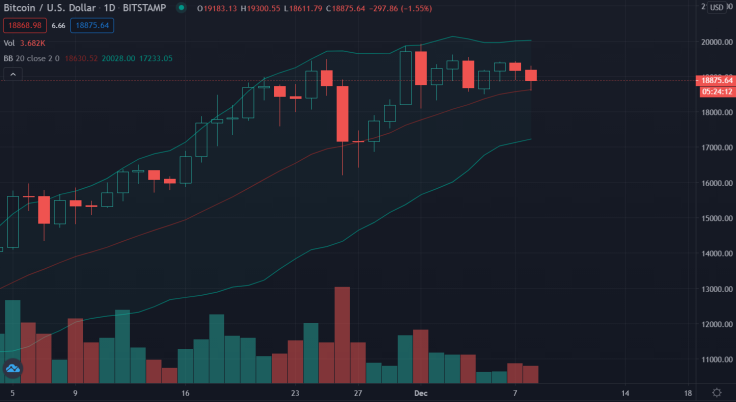 Bitcoin rally