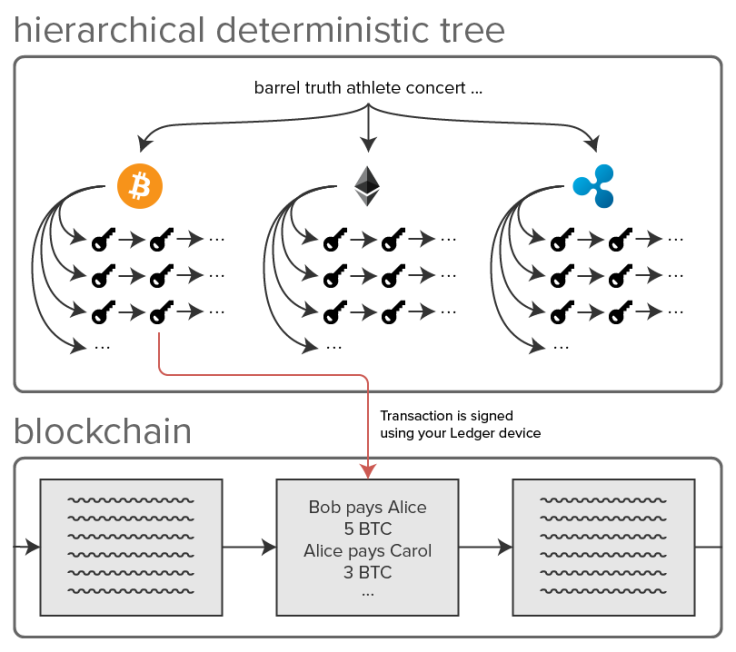 Hierarchical deterministic tree