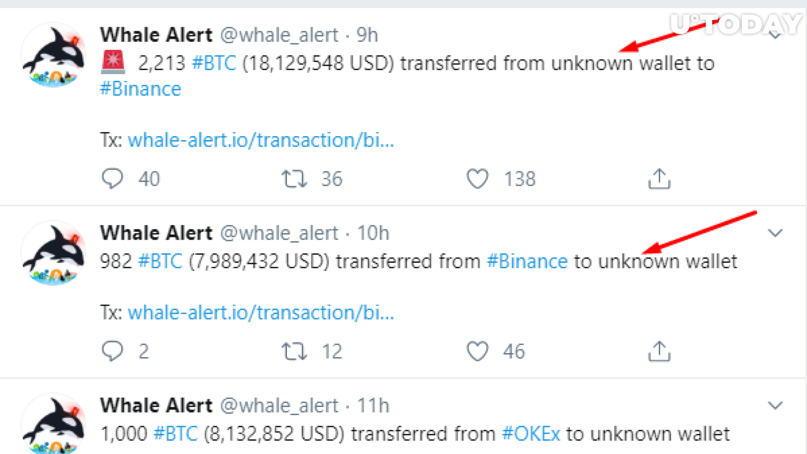 Whale Alert