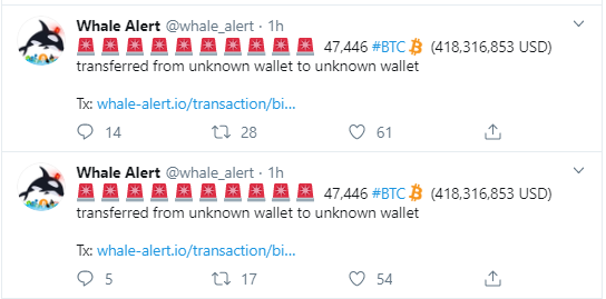 Whale Alert BTC
