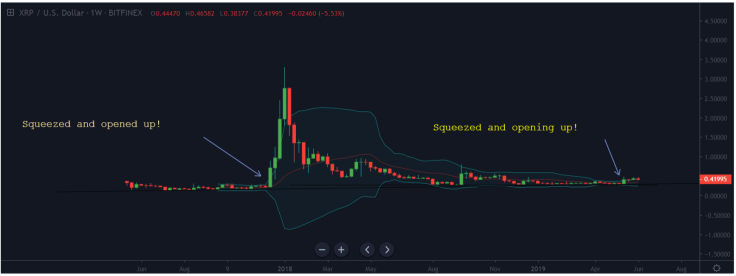 XRP can grow by 50-80%