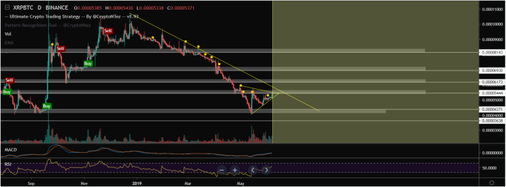 Breaking resistance can trigger growth