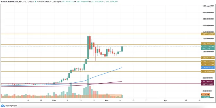 BNB/USD chart by TradingView