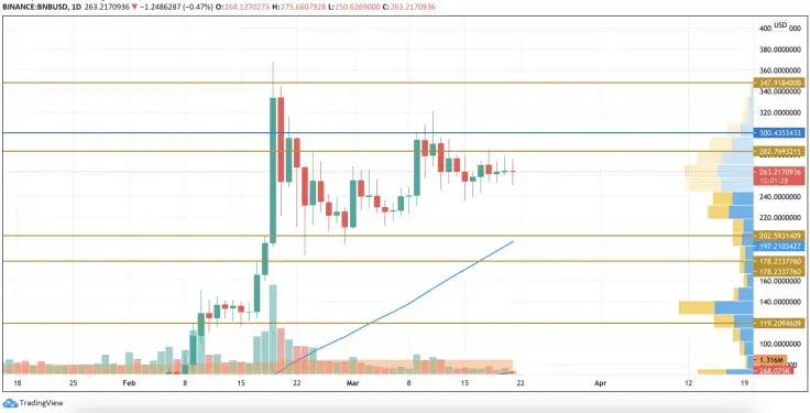 BNB/USD chart by TradingView