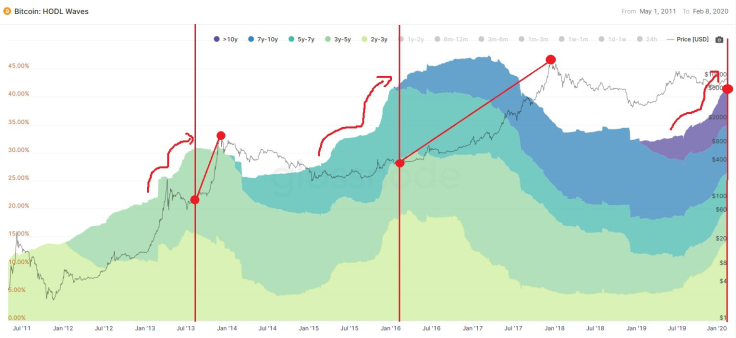 Bitcoin HODL Wawes