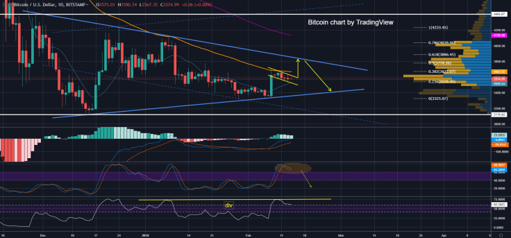 [FEB 14] BTC/USD Bitcoin Price Analysis: Bitcoin Loses in Price on Good News?