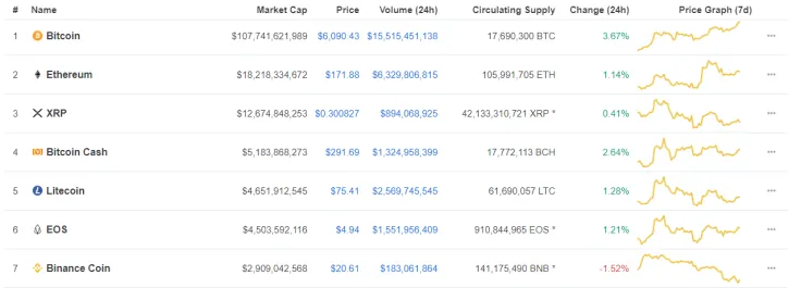 The biggest coins by market capitalization 