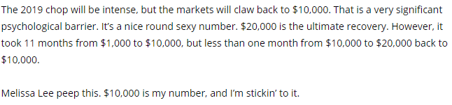 Bitcoin (BTC) Price Predicted to Hit $10,000 in 2019 by BitMEX CEO Arthur Hayes