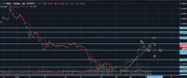XEM/USD Hourly General