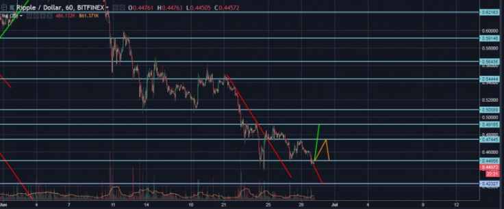xrp test