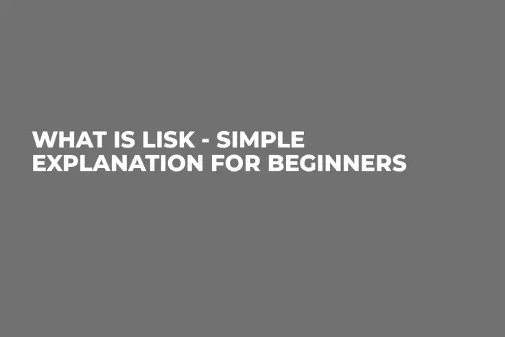 What is Lisk - Simple Explanation for Beginners