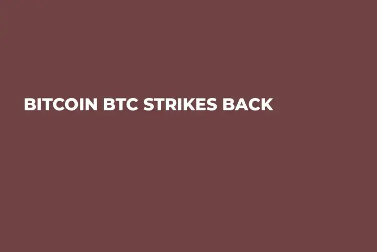 Bitcoin BTC Strikes Back