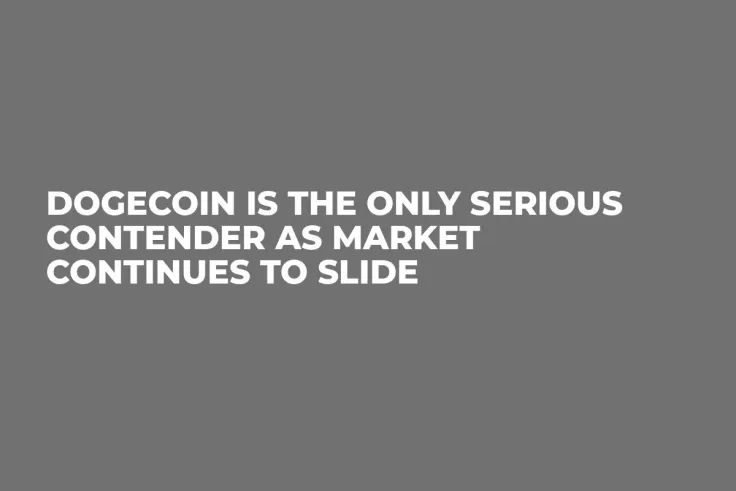 Dogecoin is the Only Serious Contender as Market Continues to Slide