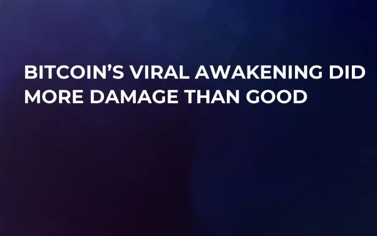 Bitcoin’s Viral Awakening Did More Damage Than Good