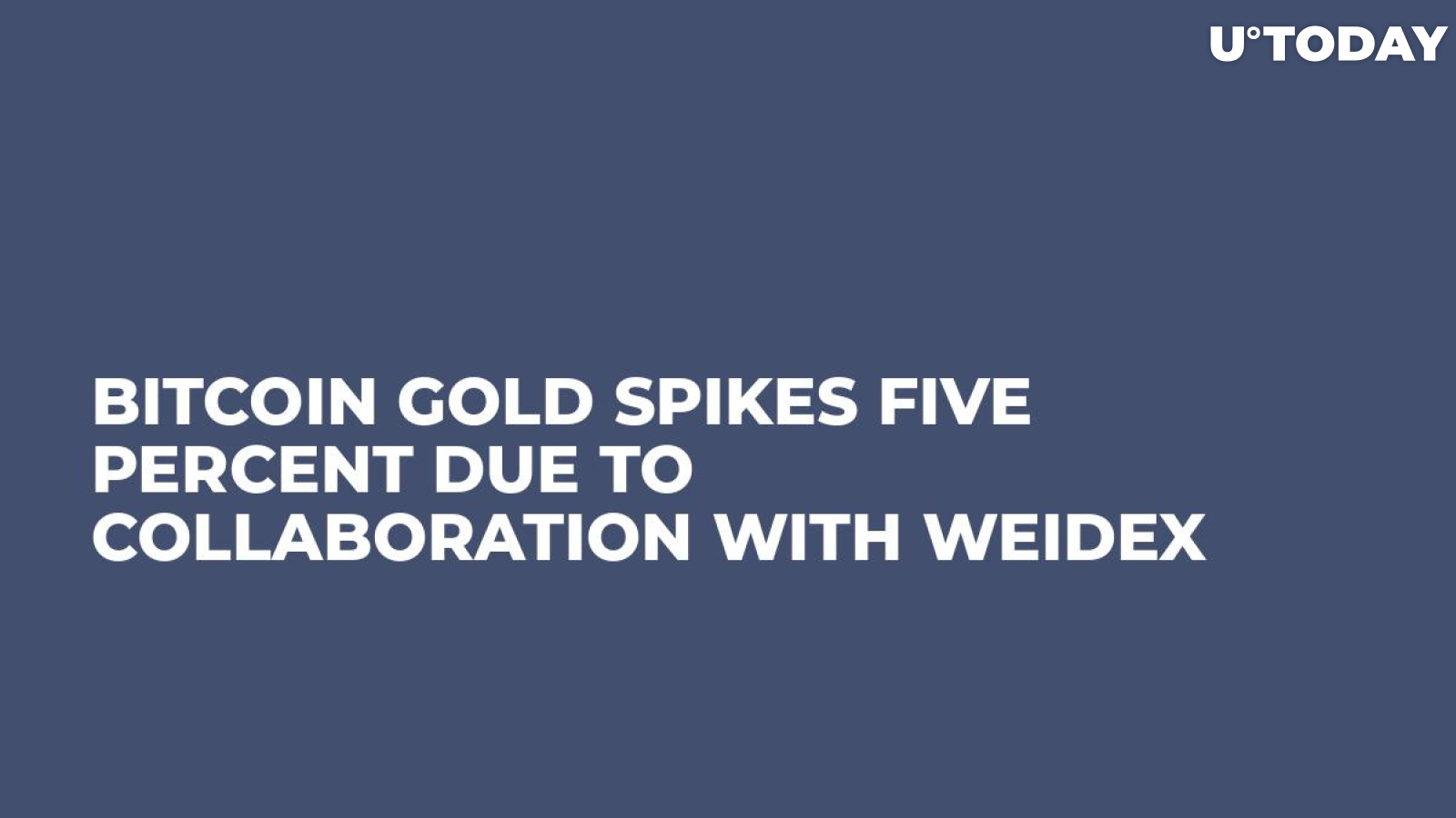 Bitcoin Gold Spikes Five Percent Due to Collaboration With Weidex