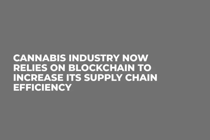 Cannabis Industry Now Relies on Blockchain to Increase Its Supply Chain Efficiency