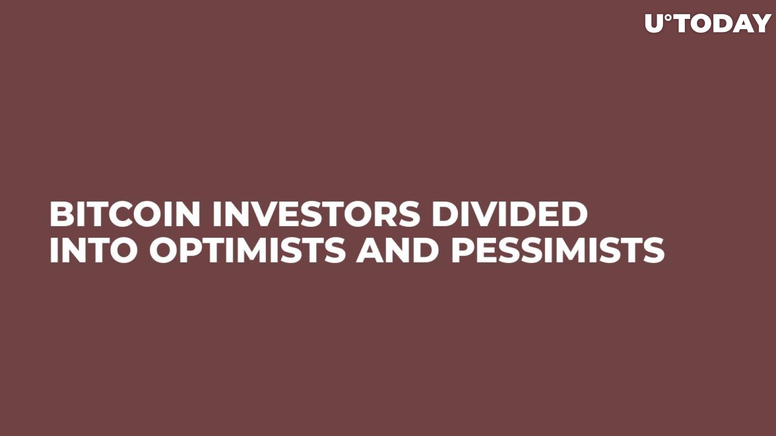 Bitcoin Investors Divided Into Optimists And Pessimists