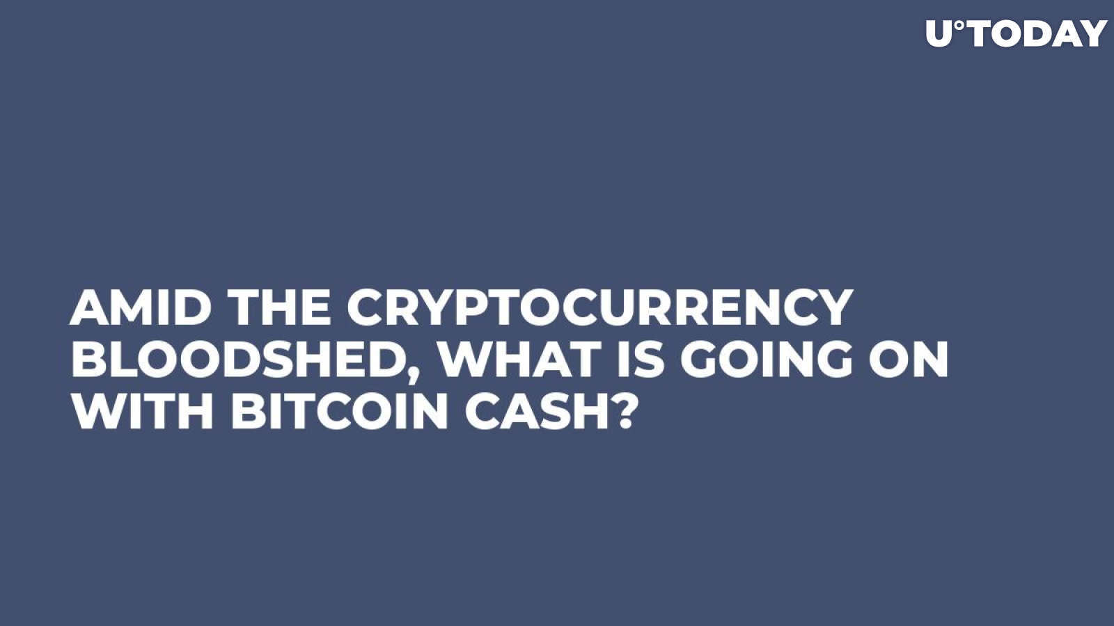 Amid the Cryptocurrency Bloodshed, What is Going on With Bitcoin Cash?