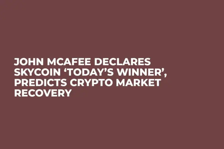 John McAfee Declares Skycoin ‘Today’s Winner’, Predicts Crypto Market Recovery