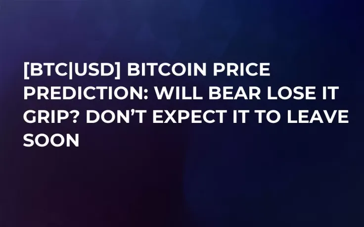 [BTC|USD] Bitcoin Price Prediction: Will Bear Lose It Grip? Don’t Expect It To Leave Soon