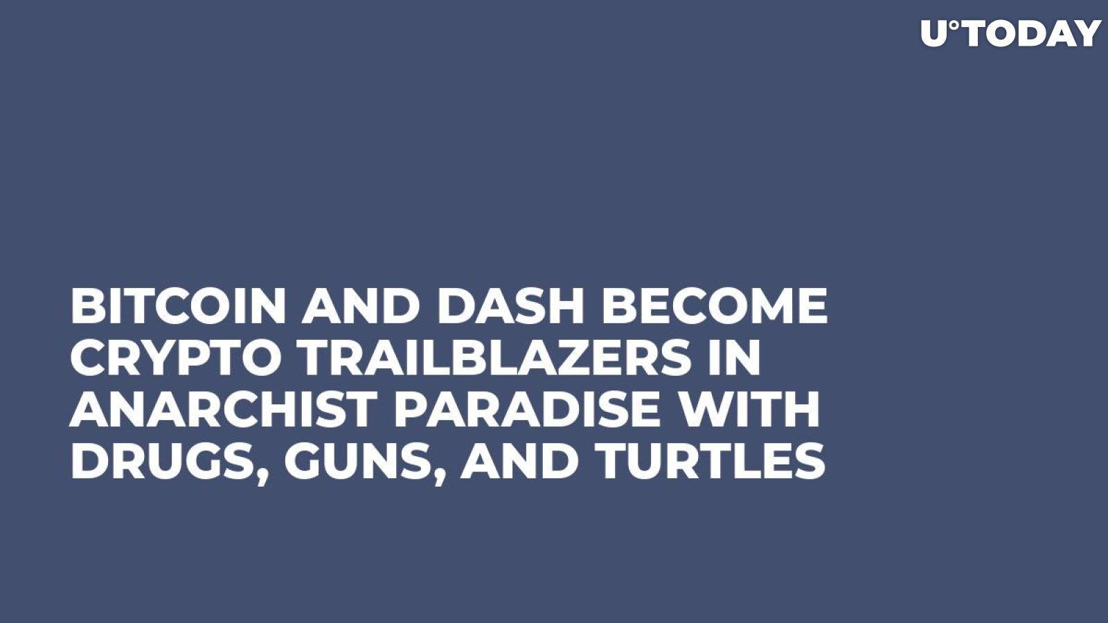 Bitcoin and Dash Become Crypto Trailblazers in Anarchist Paradise with Drugs, Guns, and Turtles  