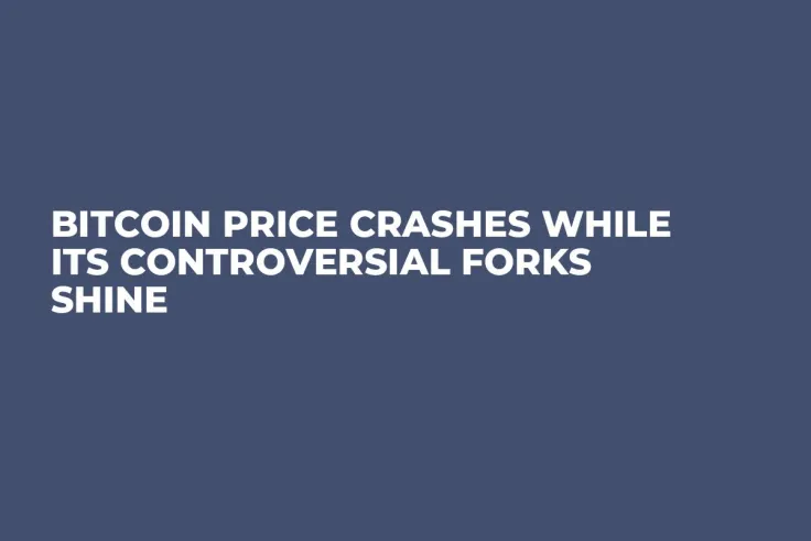 Bitcoin Price Crashes While Its Controversial Forks Shine
