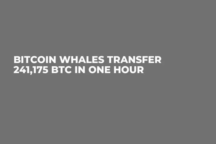 Bitcoin Whales Transfer 241,175 BTC in One Hour 
