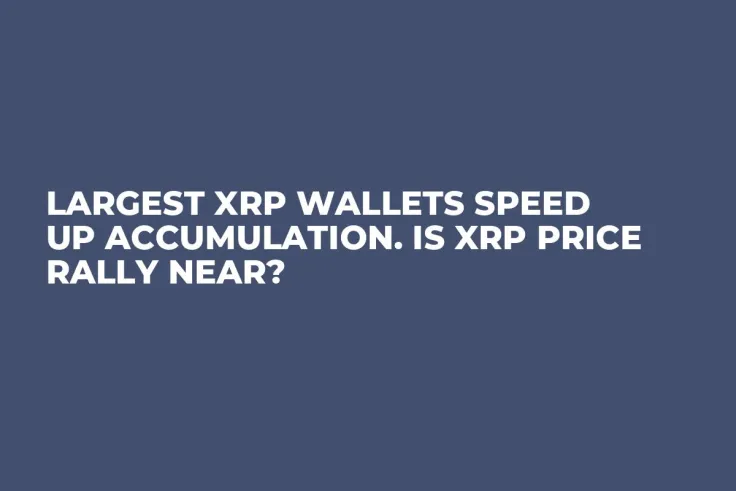 Largest XRP Wallets Speed Up Accumulation. Is XRP Price Rally Near?