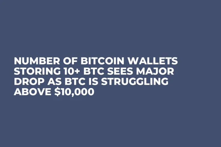 Number of Bitcoin Wallets Storing 10+ BTC Sees Major Drop as BTC Is Struggling Above $10,000