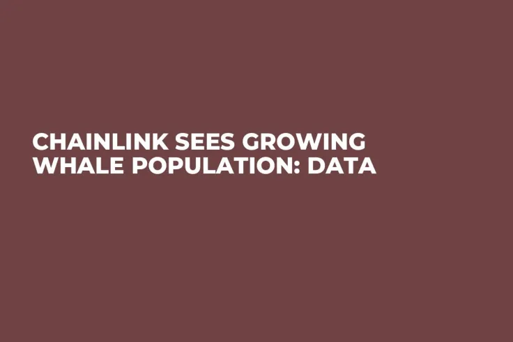 Chainlink Sees Growing Whale Population: Data